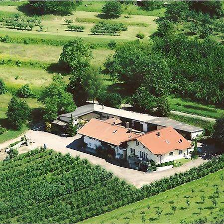 Apartmán Weingut Ringwald Herbolzheim Exteriér fotografie