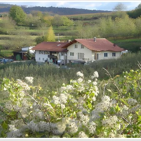 Apartmán Weingut Ringwald Herbolzheim Exteriér fotografie