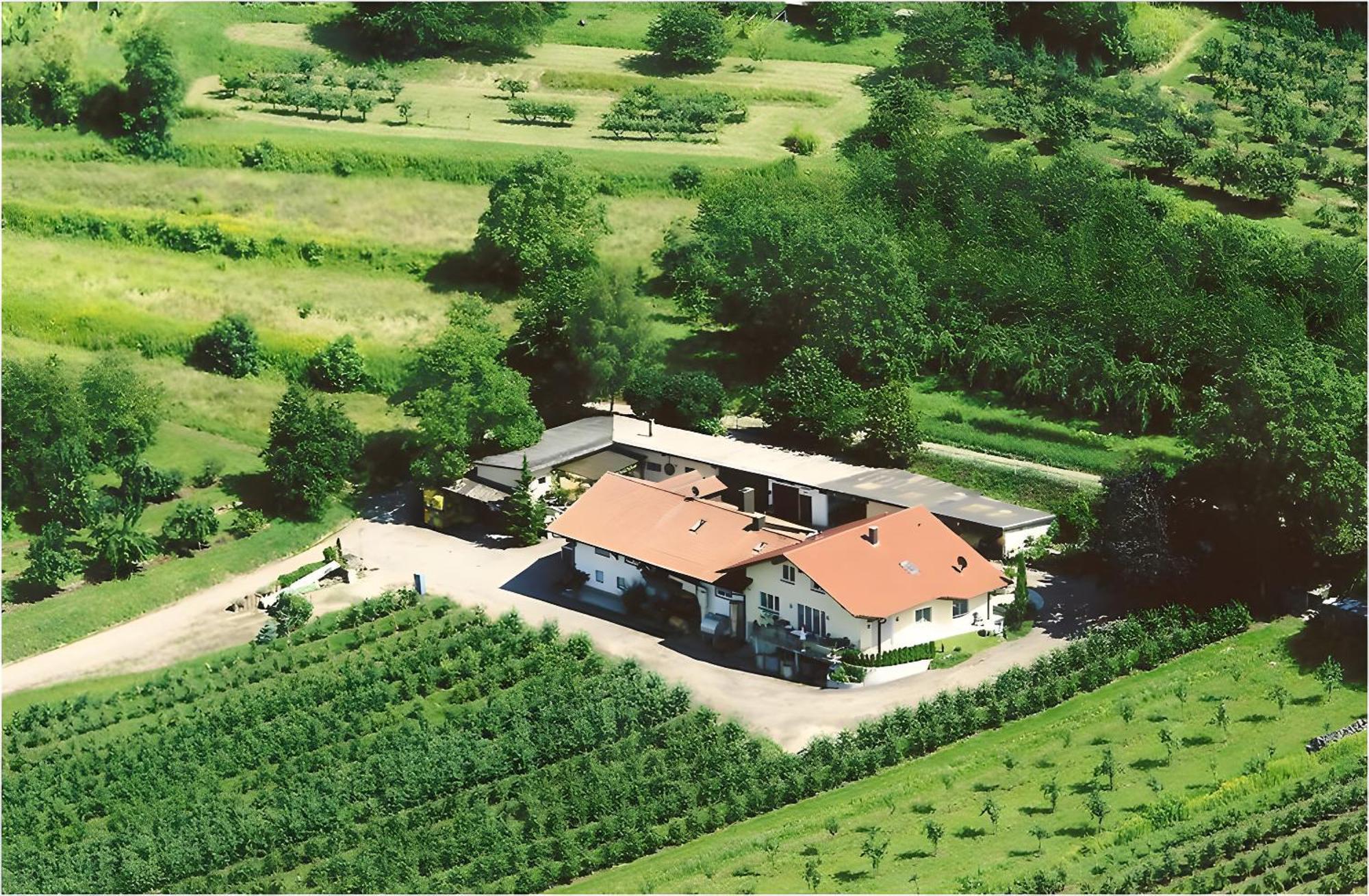 Apartmán Weingut Ringwald Herbolzheim Exteriér fotografie