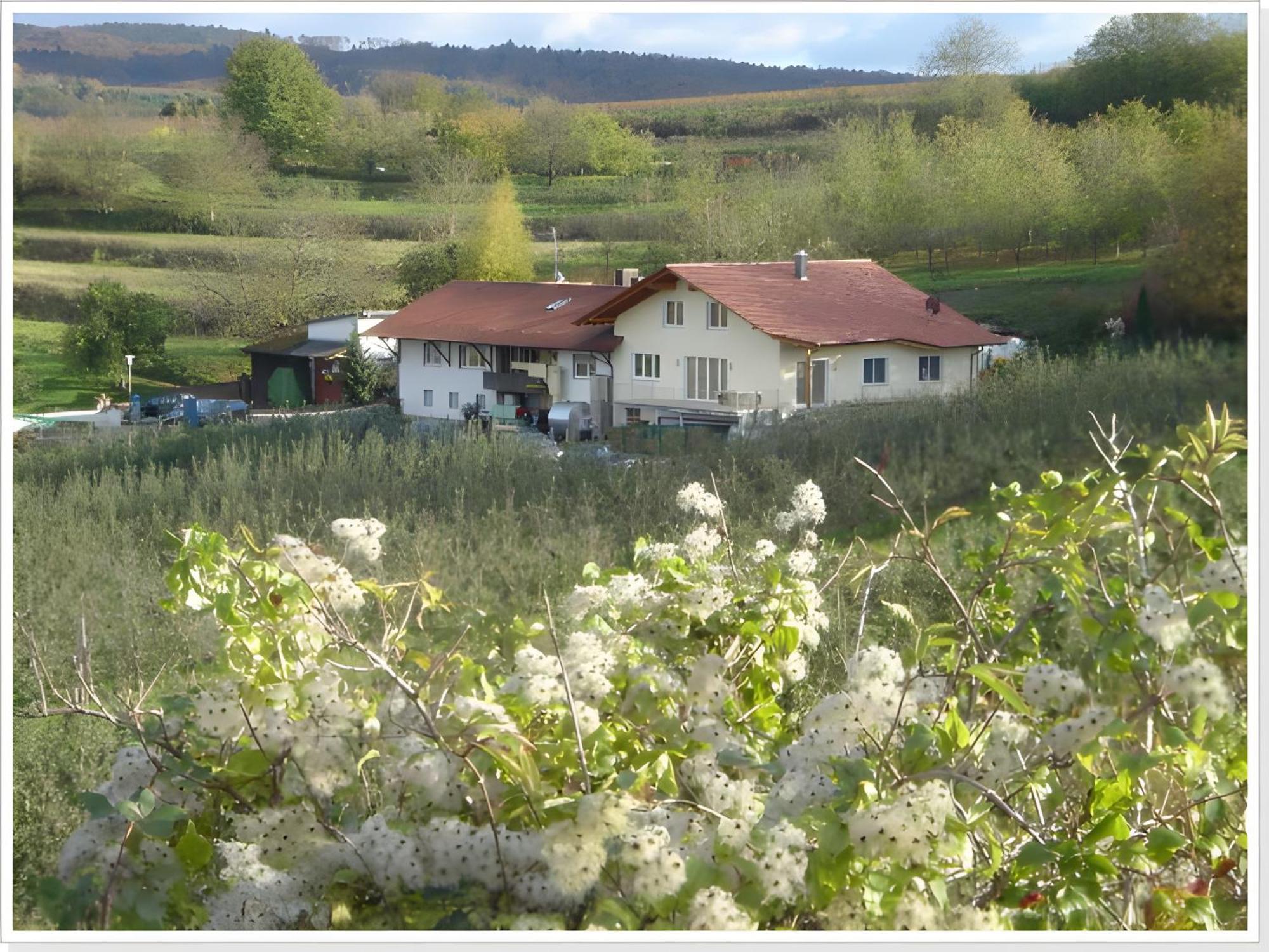 Apartmán Weingut Ringwald Herbolzheim Exteriér fotografie